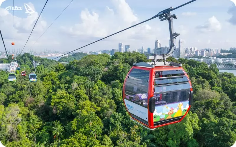 تله کابین بال های تاتو