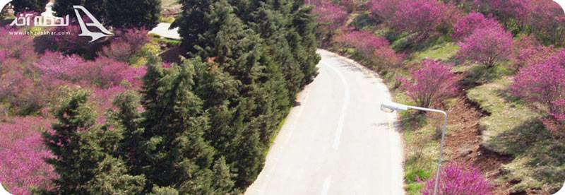 عکس سرخه حصار