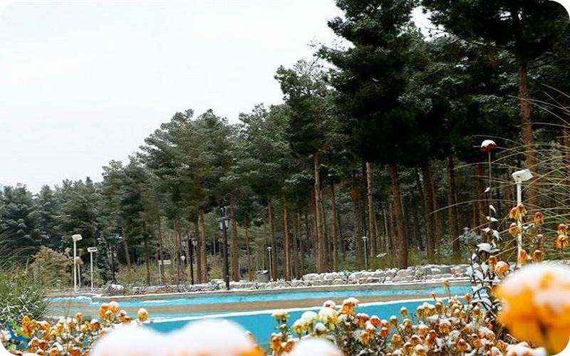 پارک جنگلی قائم کرمان