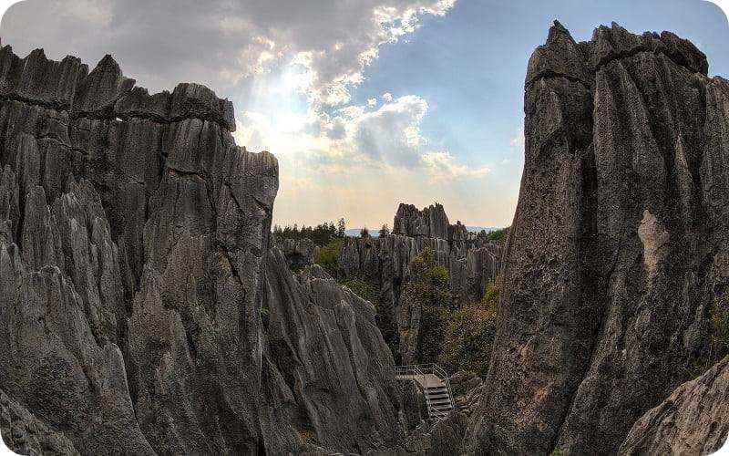 زیبایی های جنگل