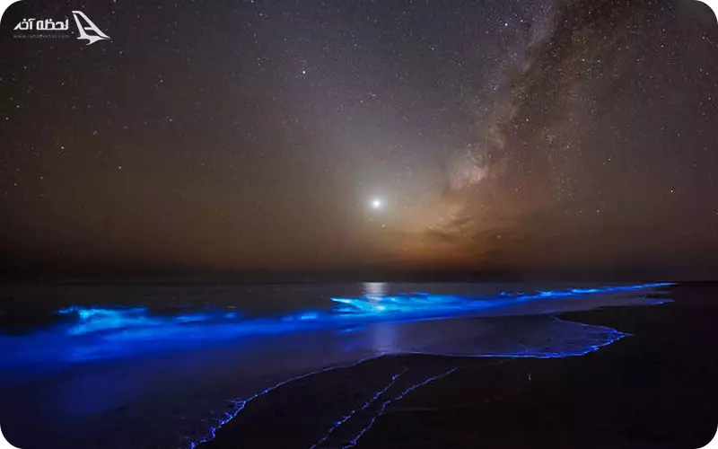 بهترین زمان سفر از ساحل شب تاب