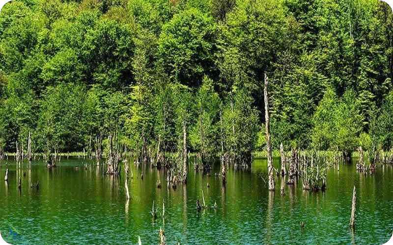 عکس تالاب ارواح