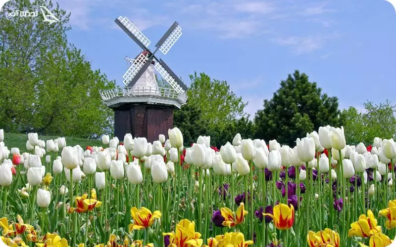 جشنواره گل های لاله استانبول