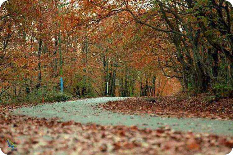 پاییز پارک سراوان