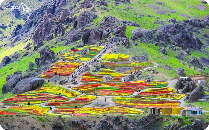 چگونه به دشت لاله ها برویم؟