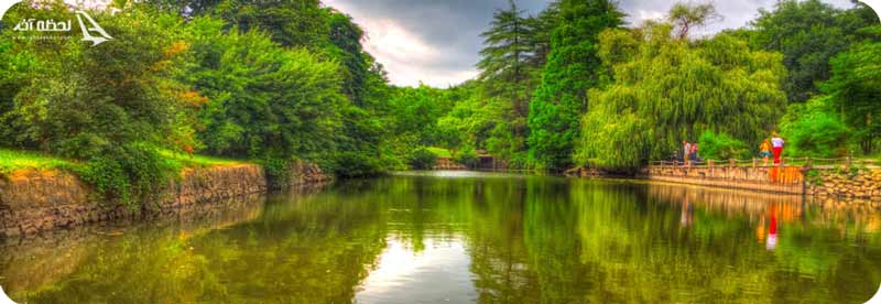 جنگل بلگراد