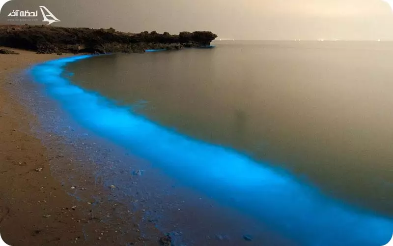 جزیره لارک قشم