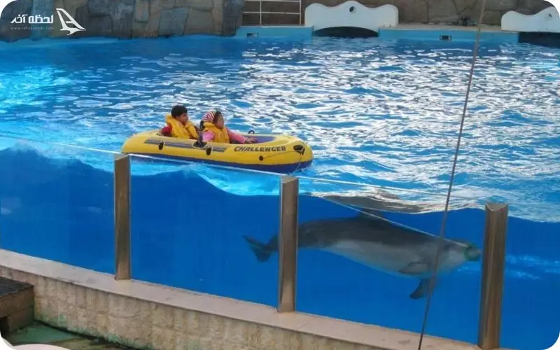 پارک دلفین ها