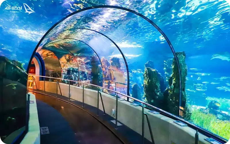 آکواریوم انزلی