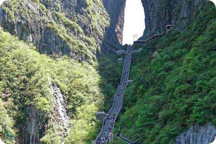 پلکان های زیبای جهان