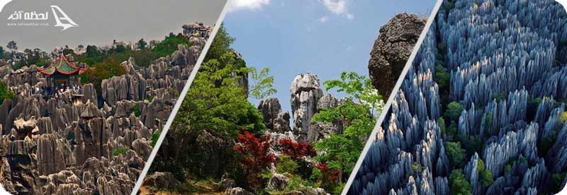 تصاویر جنگل سنگ یونان