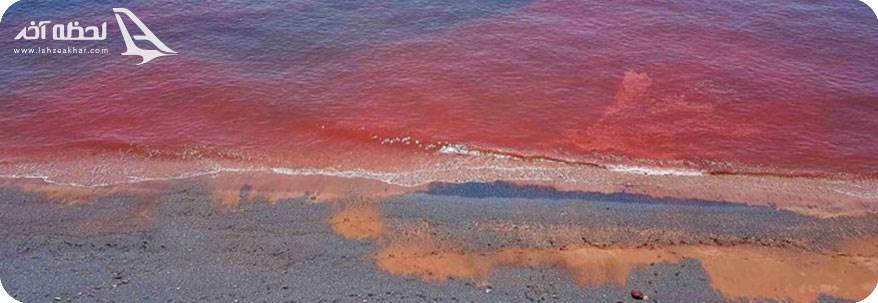 وجود مواد معدنی در خاک ساحل سرخ