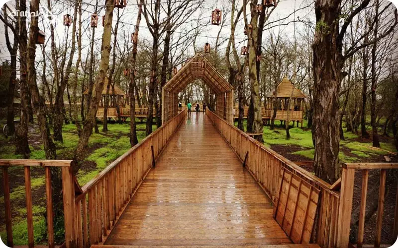 پارک جنگلی توسکا