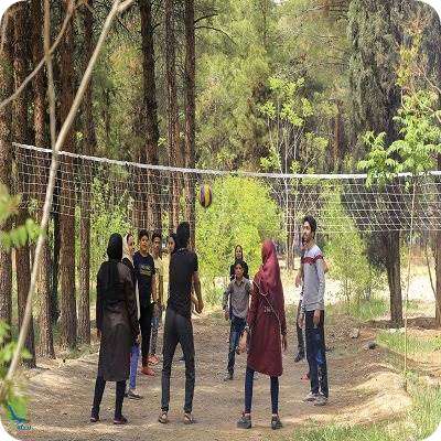 پارک جنگلی قائم کرمان