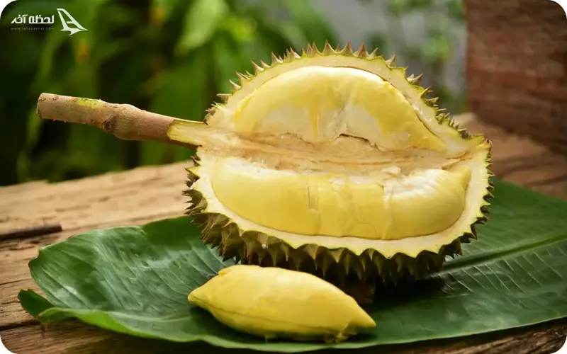 سوغات مالزی