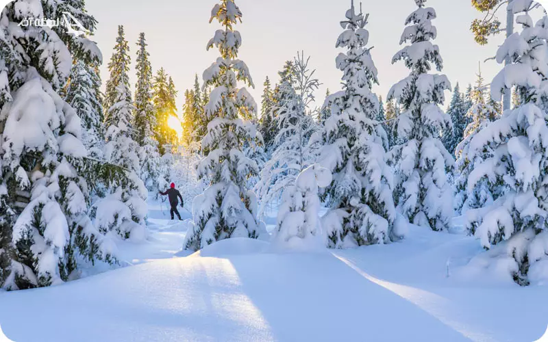 آب و هوای سوئد