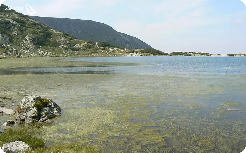 ریاچه ریبنوتو رزرو