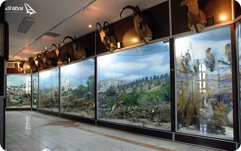 موزه های قشم