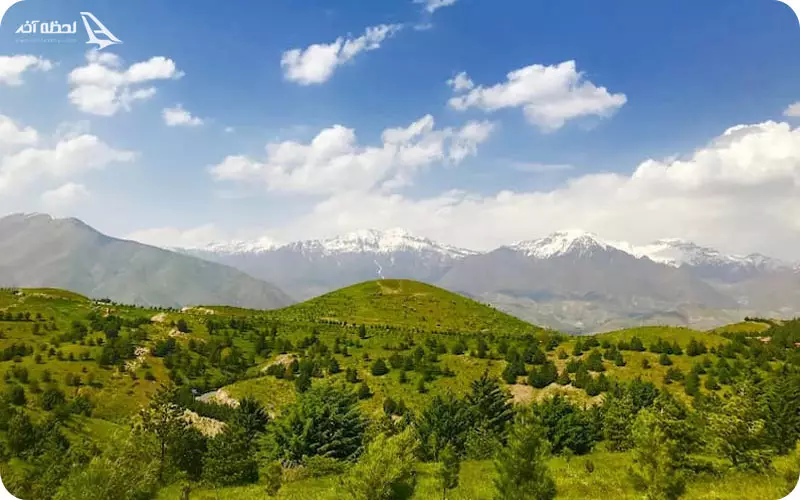 پارک جنگلی تلو