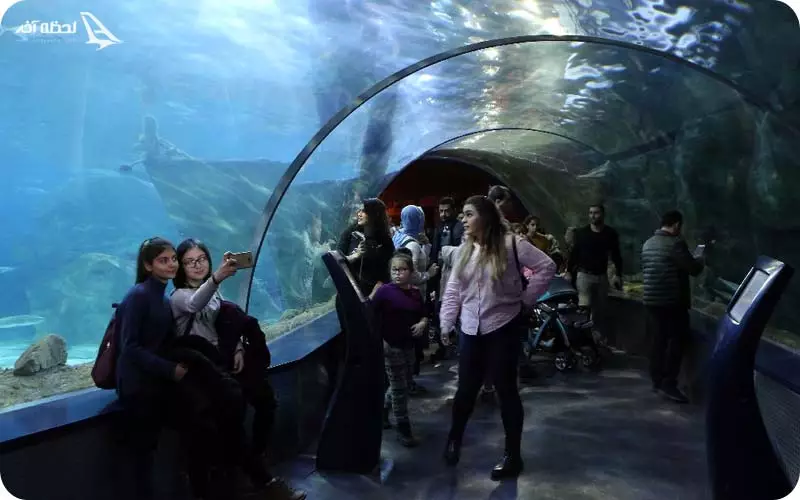 آکواریوم اصفهان