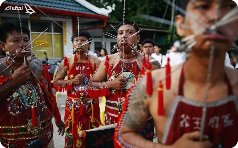 فستیوال گیاه خواری