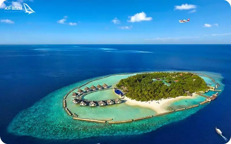 پارک ملی یالا، حیات وحش سریلانکا