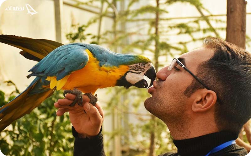 پرندگان باغ وحش ارم 