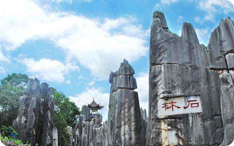 جنگل های چین