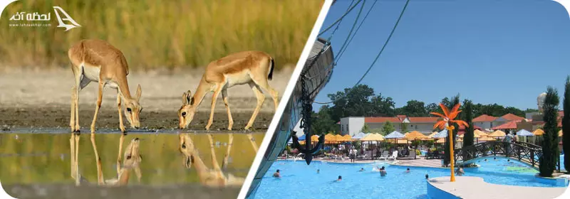 پارک ملی شیروان و نابران آذربایجان جمهوری