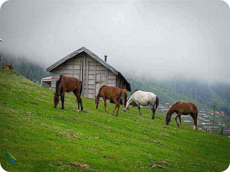 ماسال بهشت ایران