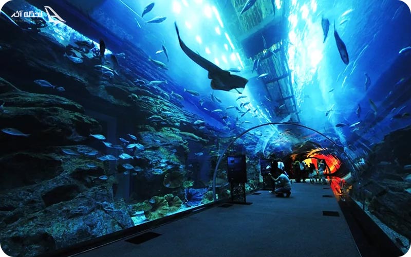 آکواریوم دبی 