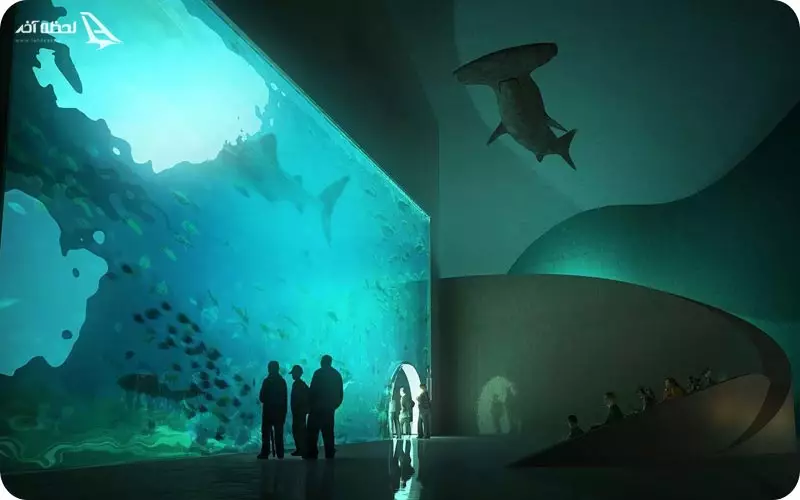 آکواریوم باتومی