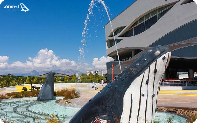 عکس آکواریوم آنتالیا