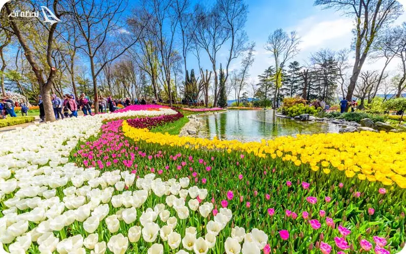 جشنواره گل استانبول