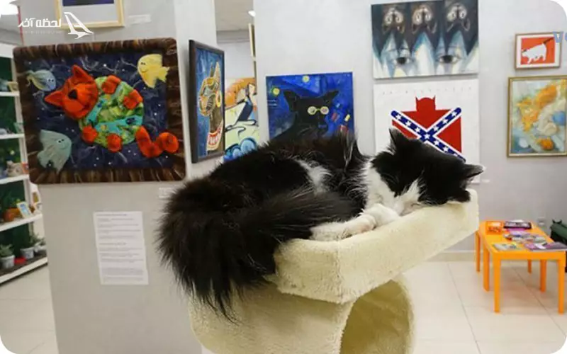 موزه گربه بلاروس