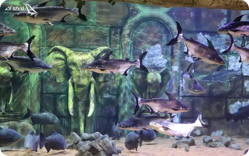 بزرگترین اکواریوم خاورمیانه