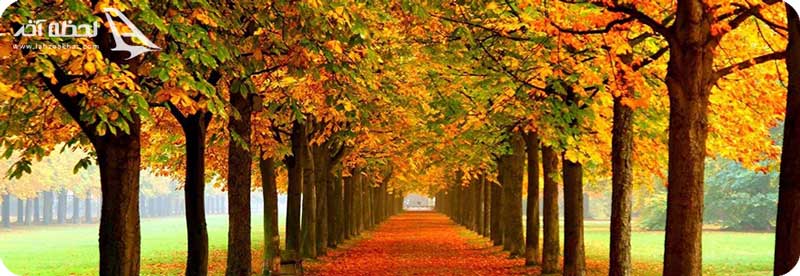 آب و هوای گرگان