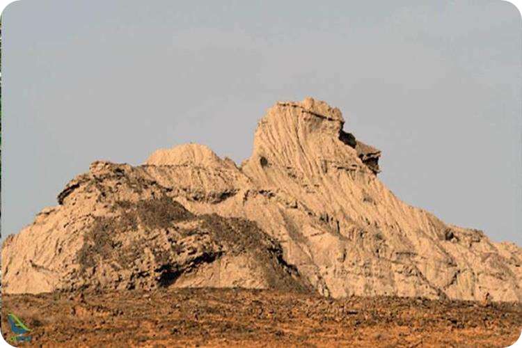 شیرکوه یا ابولهول