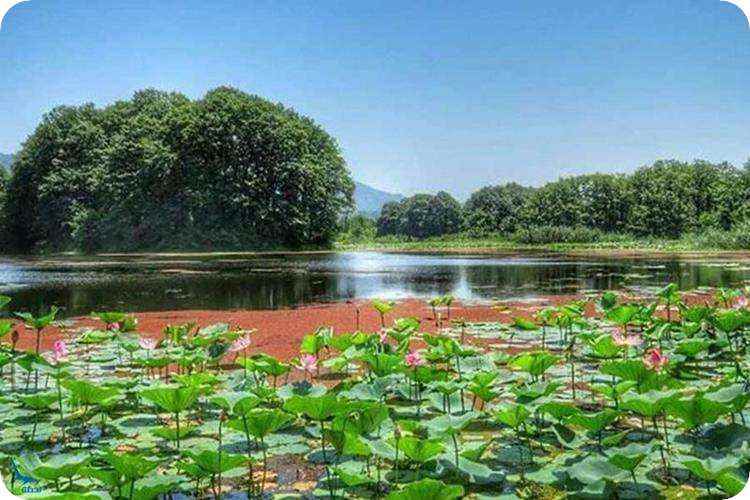 تفریحات تالاب سوستان