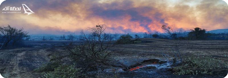 آتش سوزی در جنگل های ترکیه