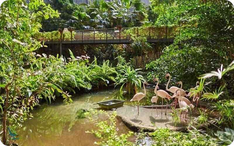 زیبایی های آلمان