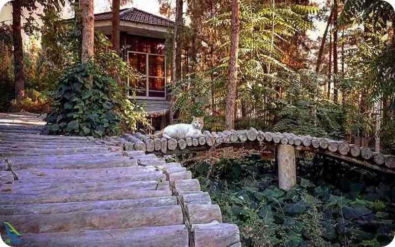 پارک جنگلی قائم کرمان