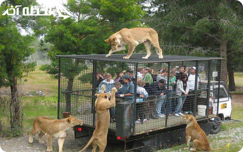 پارک باغ جانورشناسی برلین