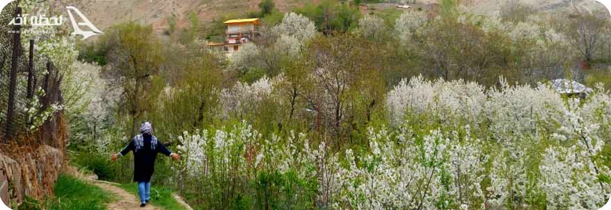 روستای سینک