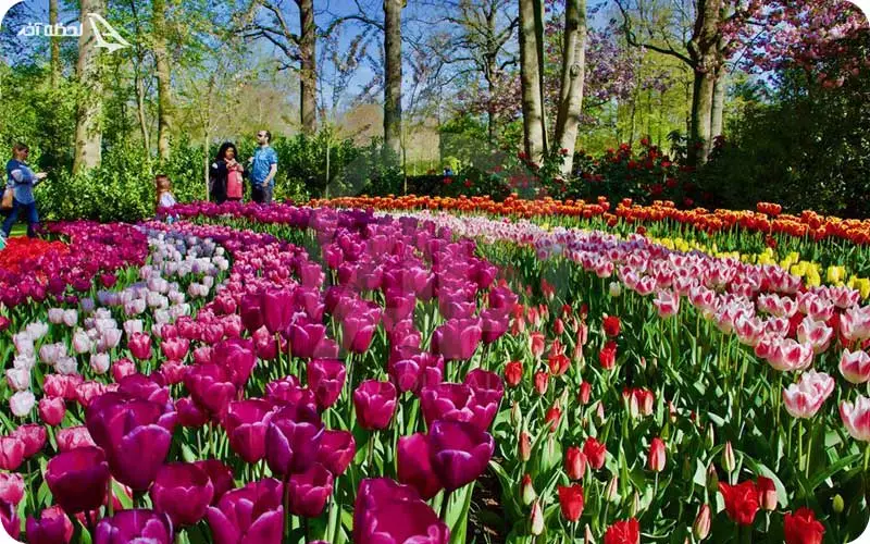 آدرس جشنواره گل لاله استانبول