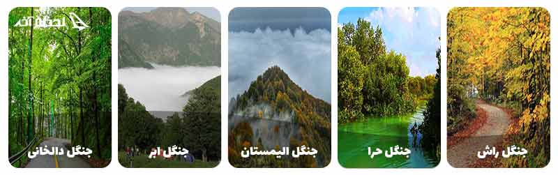 جنگل های ایران