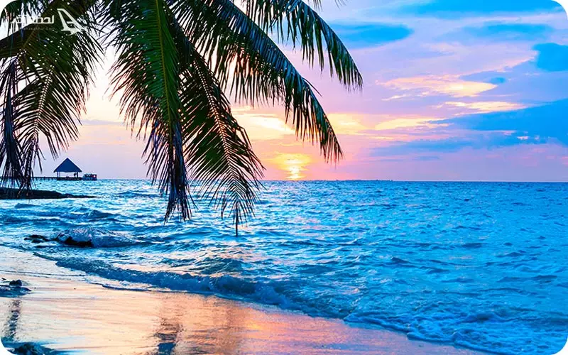 تور کیش از شهرستان