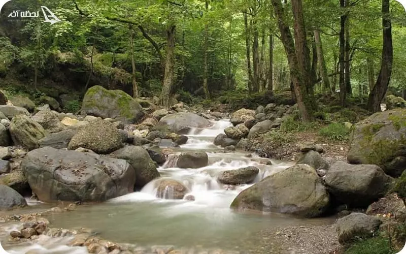 تابستان در جواهرده