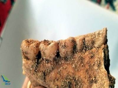 کشف استخوان سرباز اشکانی در اثر دفن بیمار کرونایی