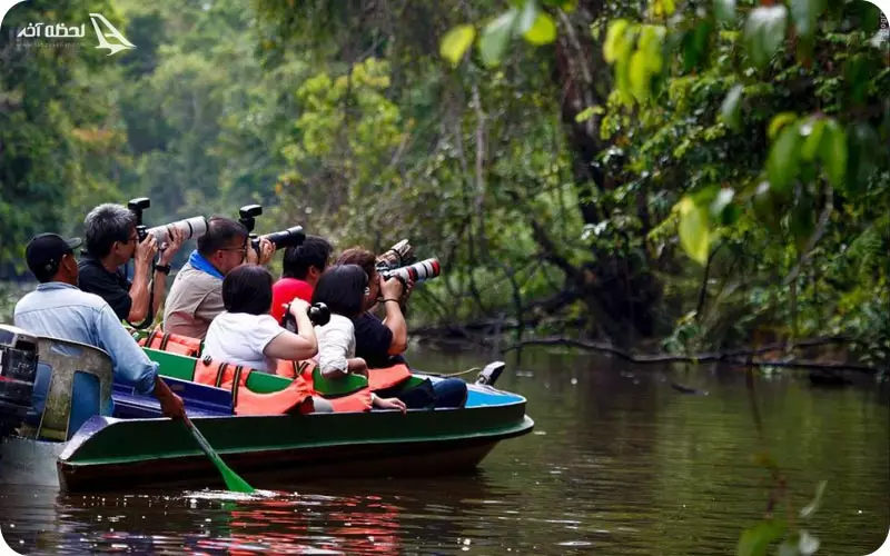 جزیره مالزی